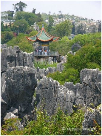 Stone Forest