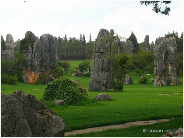 Stone Forest