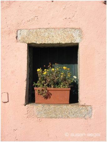 Cinque Terra